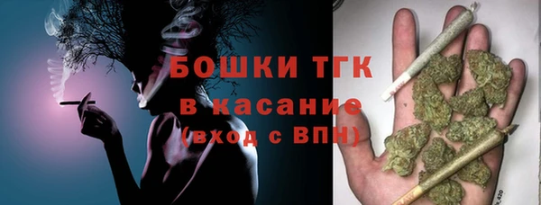 дживик Инсар