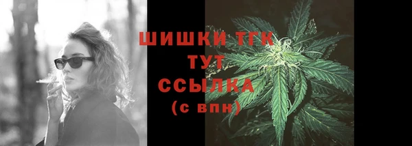 тгк Инта