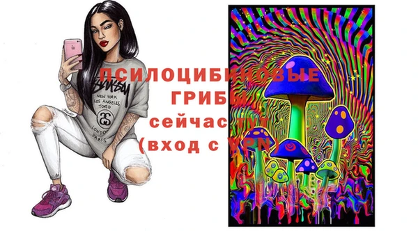 тгк Инта