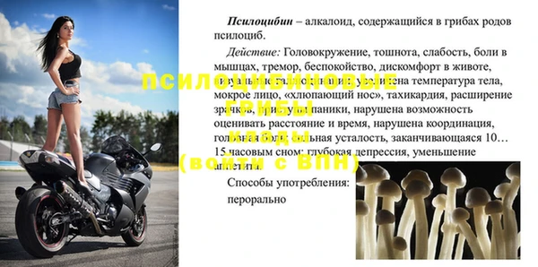 тгк Инта