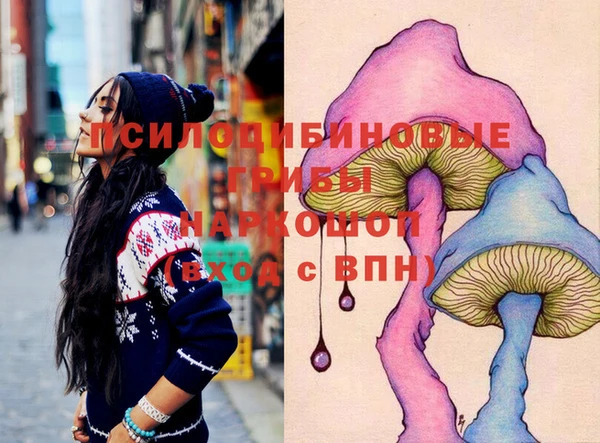 дживик Инсар