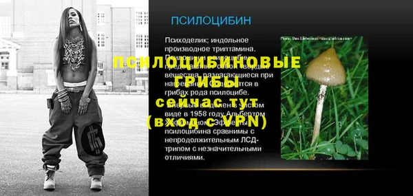 дживик Инсар