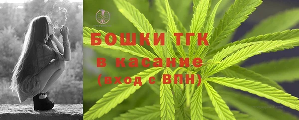 дживик Инсар