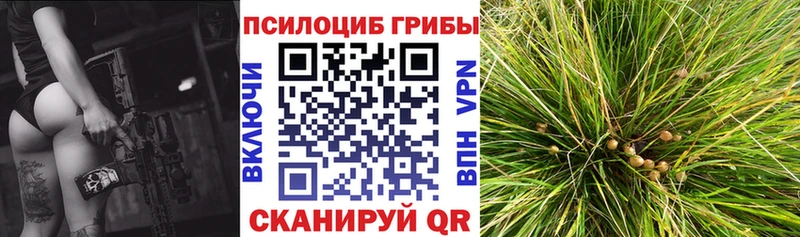 купить закладку Котово Псилоцибиновые грибы Psilocybine cubensis